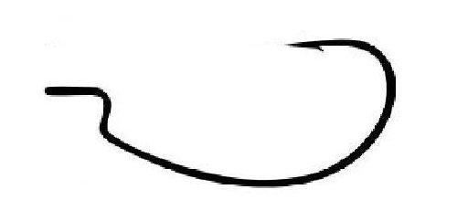 カツイチ(KATSUICHI) カツイチ Worm17 KG Hook #6 #6