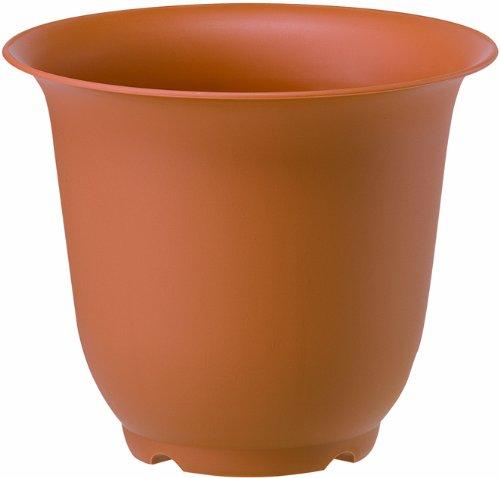 ���¥ץ饹���å� �Υ��ݥå� 4�� �֥饦��(1����)