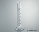 アズワン メスシリンダー(青目盛) 25mL TSCY-25 1個