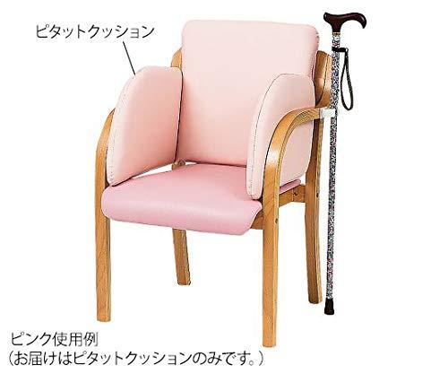 ヌード 45角シート (I) ヌードクッション 国産 日本製 洗える シート 椅子用 約45×45cm 2枚組 アイボリー お買い物マラソン