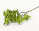 (丸和貿易)いろはに花 楓の実 グリーン (400860502)