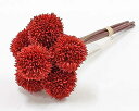 (丸和貿易)いろはに花 手毬菊 レッド (400860801)