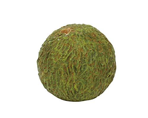 樂天商城 - 丸和貿易(Maruwa Trade) (丸和貿易)いろはに花 苔玉 (S) 丸 (400868901)