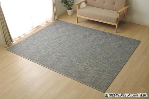 イケヒコ ラグ カーペット 無地 シンプル バンブー 竹 『DXフォース』 グレー 約190×300cm