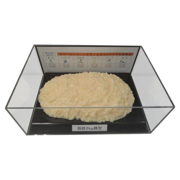 COMOLIFE コモライフ 脂肪模型フィギュアケース入 2kg IP-979 (1363029)