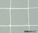 トーエイライト ジュニアサッカーゴールネット (B2480)