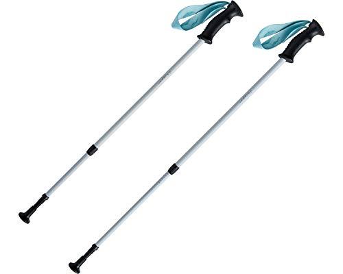 ハタチ SUNPO_WALKER (WH1600) [色 : ブルー]