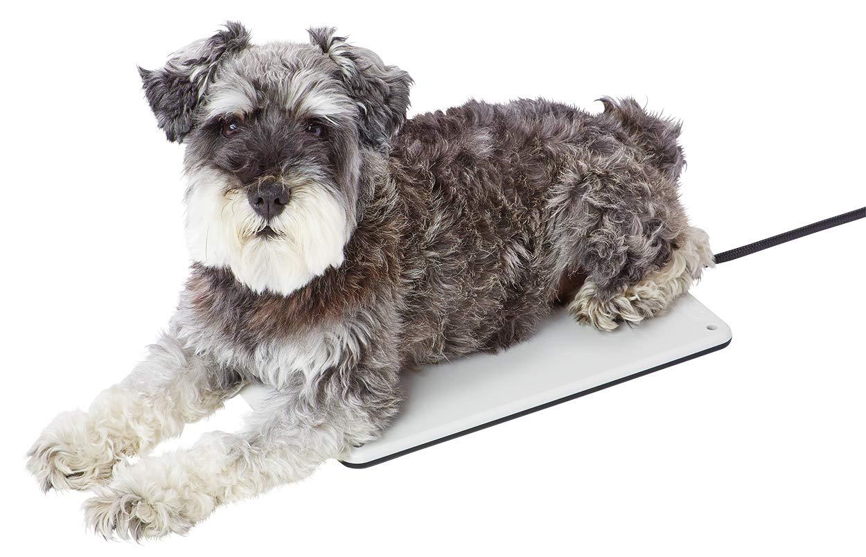 ڥƥ (Petio) С֥ŵҡ ϡ M