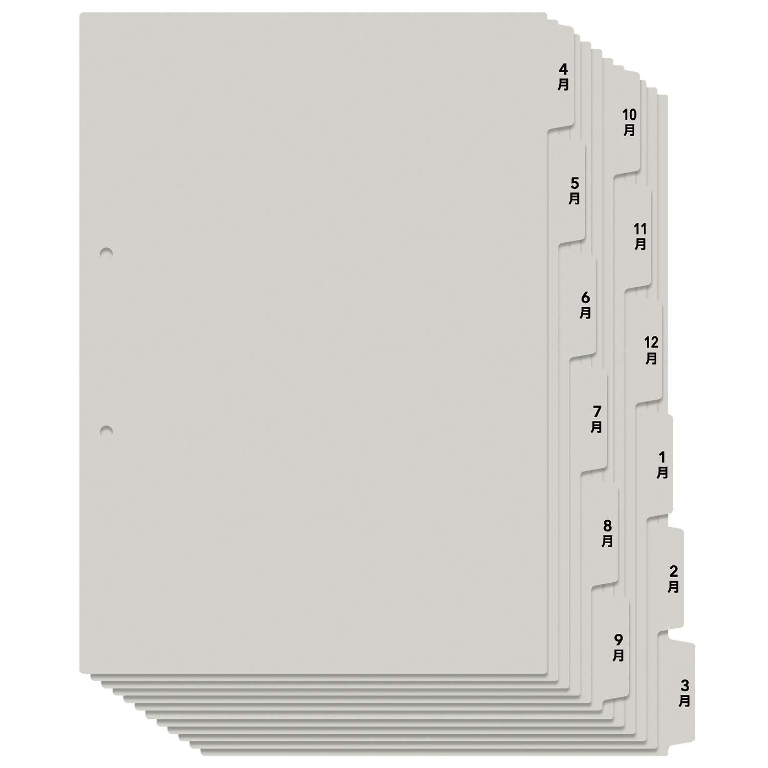 3175554 プラス たすけあ レセプト用4-3月インデックス A4タテ グレー FL-809IS