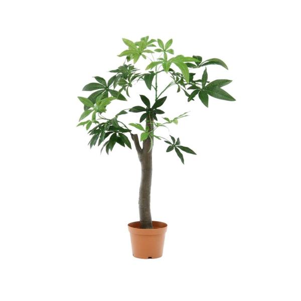 FUIBOEKI 不二貿易 観葉植物 パキラ 朴の木タイプ 52665 (1479938)
