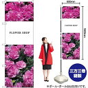 のぼり屋(Noboriya) Nのぼり 花 カーネーション KMN W600×H1800mm 81811 (1490218)