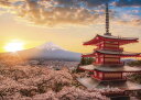やのまん 春暁の富士山と桜(山梨)
