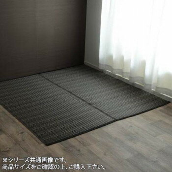 Fabrics - イケヒコ 洗える PPカーペット アウトドア ペット ブラウン 本間3畳（約191×286cm）