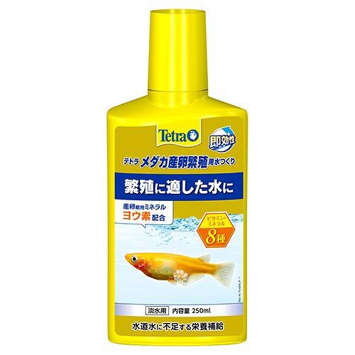 ���ڥ��ȥ�� �֥�� ����ѥ� �ƥȥ� ����������˿��ѿ�Ĥ���100ml