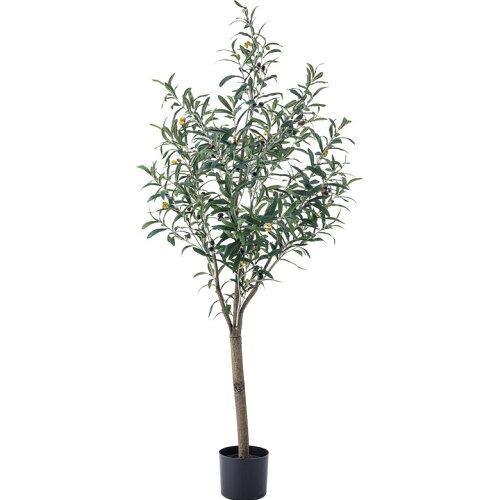 AZUMAYA 東谷 フェイクグリーン オリ-ブ＜GRN-17＞ L1