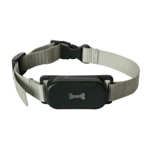 [ファンタジーワールド]ノーバーク カラー Lサイズ (-)