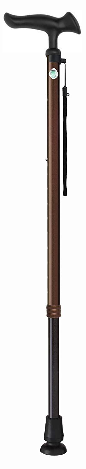 フジホーム かるがもE22（伸縮） ブラウン WB5128 1本