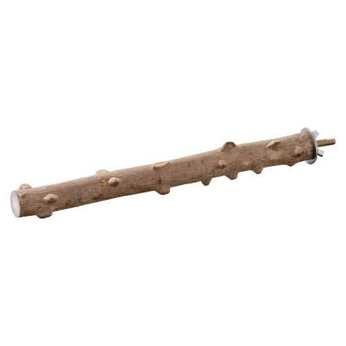 ジェックス でこぼこパーチ25