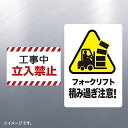 SANWASUPPLY サンワサプライ LB-LPF02