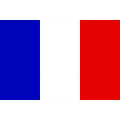 東京製旗 卓上旗(16×24cm)フランス