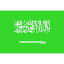 東京製旗 国旗No.1(70×105cm) サウジアラビア