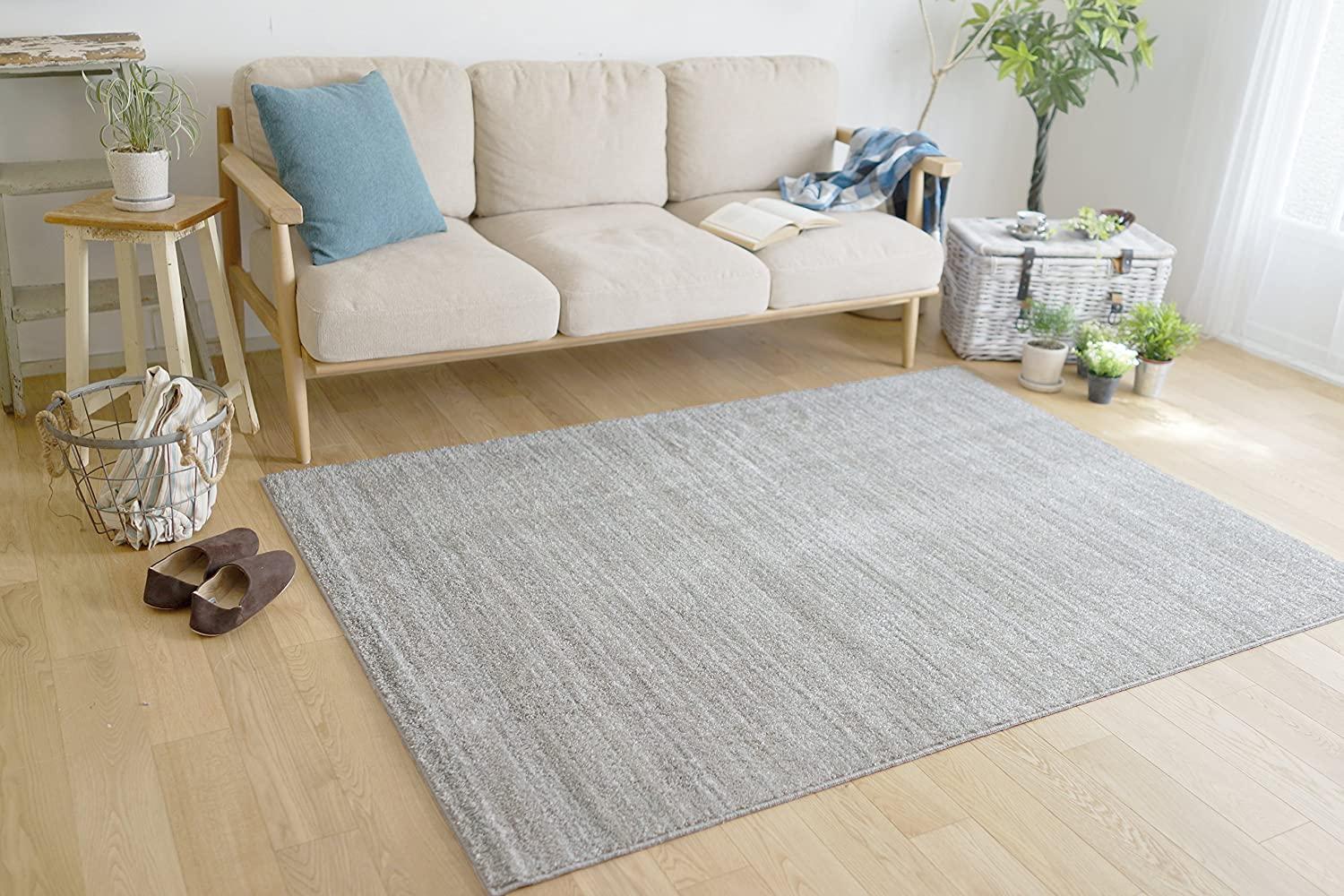 ���ߥΥ�(Suminoe) ���ߥΥ� �饰�������ڥå� �饤�ȥ��졼 200��250cm �ɥ��� �ɱ� ��她�ȥ�