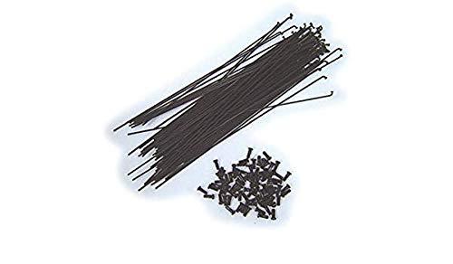 ���缫ž�� �����ݡ���36��#14-205 �������֥饤��BK �֥�å� �˥åץ��դ��ڲ��졦Υ��ؤ������Բġ�