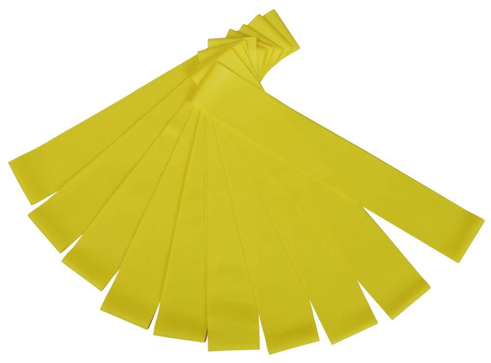 秦運動具工業 BBバンドループXライト10ホン (20R1075XL)