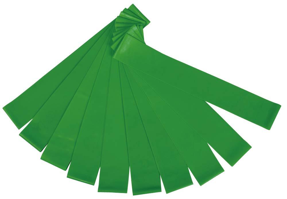 秦運動具工業 BBバンドループライト10ホンセット (20R1075L)