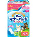 第一衛材 (P・one)マナーパッドActive ビッグパック SS 57枚
