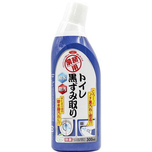 アイメディア 業務用 トイレ黒ずみ取り(3.0)