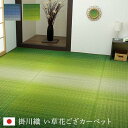 イケヒコ い草 ラグ カーペット 花ござ 日本製 大自然 掛川織 モダン 抗菌防臭 草原 グリーン 江戸間4.5畳 約261×261cm #4141404