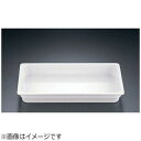 TKG テイケイジイ 遠藤商事 JB メラミンホテルパン1/1 40mm【NMH0102】