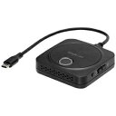 PRINCETON プリンストン Simple Cast専用 USB type-Cタイプトランスミッター(子機) PTW-SPCASTTXC(2)