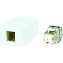 3M スリーエム コーニング Cat6A RJ45ジャック+露出型アウトレット(1ポート) (VOLSMB1S6A 2814)