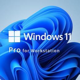 MICROSOFT マイクロソフト Win 11 Pro for Wrkstns 64Bit Japanese 1pk DSP OEI DVD HZV-00112 