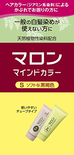 シュワルツコフ ヘンケル マロン マインドカラーS ソフトな黒褐色