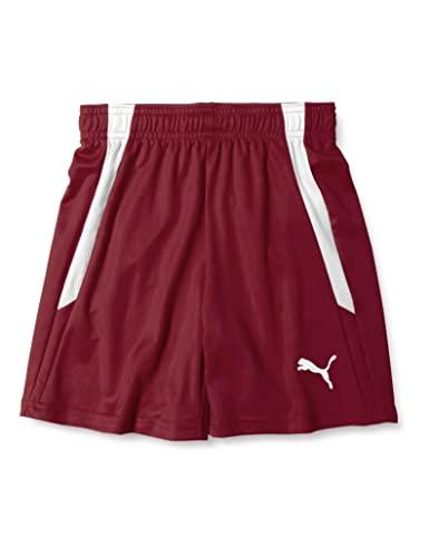 Other - PUMA プーマ TEAMLIGA_ゲームパンツ_JR (705145) [色 : CORDOVAN-PUM] [サイズ : 120]