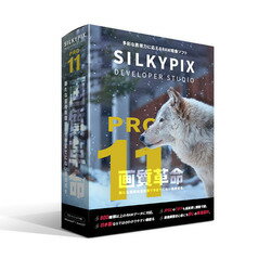 市川ソフトラボラトリー SILKYPIX Developer Studio Pro11 パッケージ版[WIN＆MAC](DSP11H)