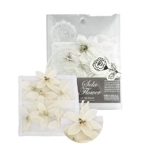 三和トレーディング new Sola Flower ソラフラワー Sachet サシェ (sa25001041)【入数:6】