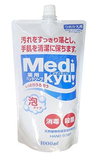 �����å��и� ���ѥϥ�ɥ����� ��ǥ������ ˢ������ ������ 1000ml 1�ġ�800659��