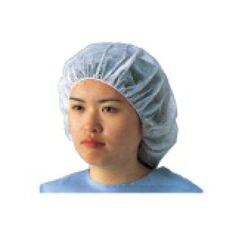 Rakuten - バイリーンクリエイト ディスポヘアーネット フリーサイズ G7415-1 1箱(100枚入)