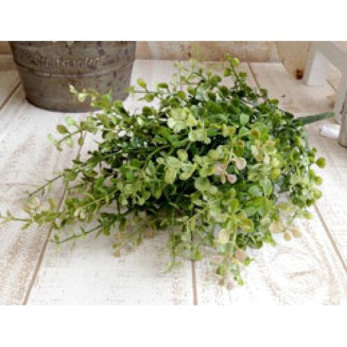 ASCA アスカ Aー41503 ベイビーグラスブ#051A グリーン (72-41503-51)