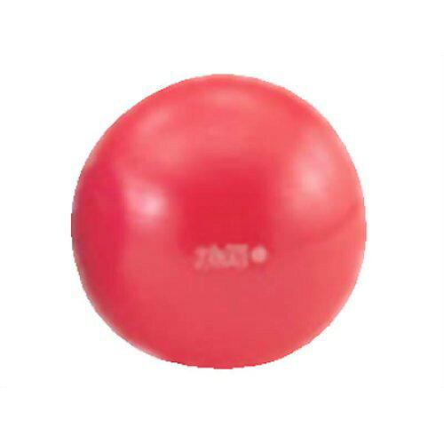 ダンノ(DANNO) ギムニクカラーボールPLUS_55__C-6 (D5421R)