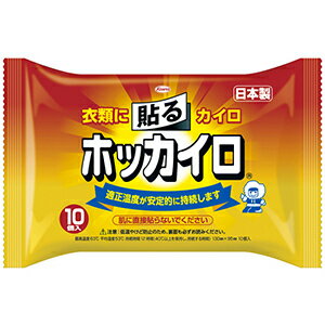 興和 ホッカイロ 貼るレギュラー 10