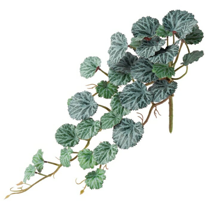 ASCA アスカ A-44166 ベゴニアハンギングブッシュ #053P グリーンパープル (72-44166-153)