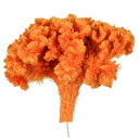 フラワート(Flowerart) ケイトウ オレンジ(約40g)プリザーブドフラワー花材 フィオリエンテ (JJ0040300)