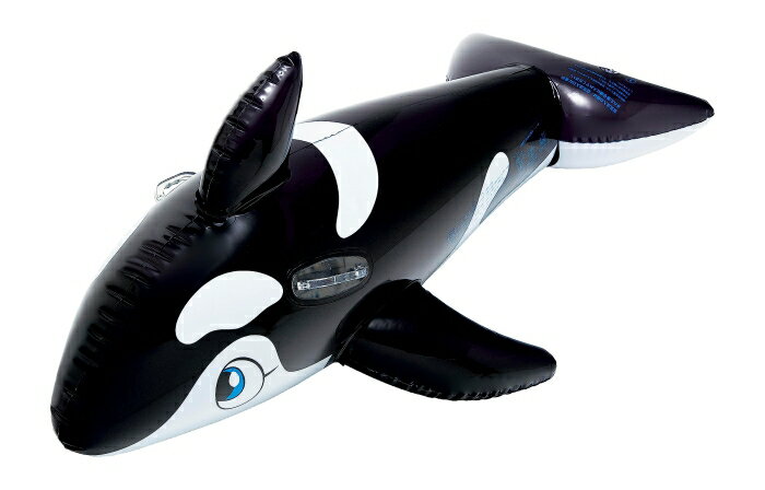 イガラシ ☆リアルな海の人気者フロート!☆ミニシャチフロート(ブラック) (FRB-179V)