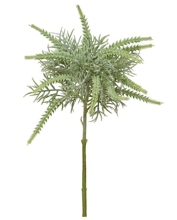 &nbsp;メーカー&nbsp;ASCA アスカ&nbsp;商品カテゴリ&nbsp;フラワー・観葉植物＞造花&nbsp;発送目安&nbsp;2日〜3日以内に発送予定（土日祝除）&nbsp;お支払方法&nbsp;銀行振込・クレジットカード&nbsp;送料&nbsp;送料 小型(60)&nbsp;特記事項&nbsp;&nbsp;その他&nbsp;
