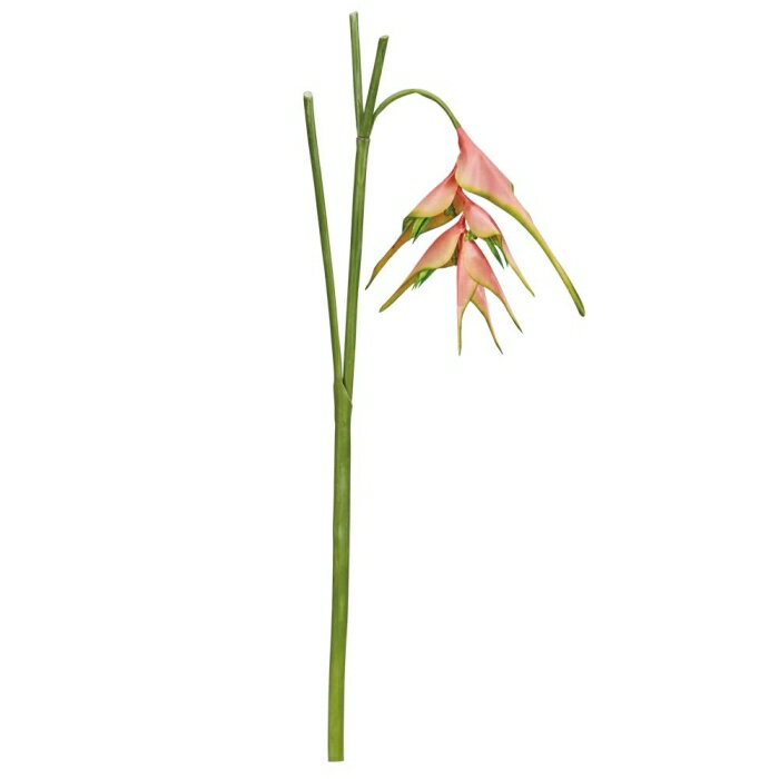 ASCA アスカ 【2023新商品】A?34524 ヘリコニア #003G ピンクグリ-ン (72-34524-103)